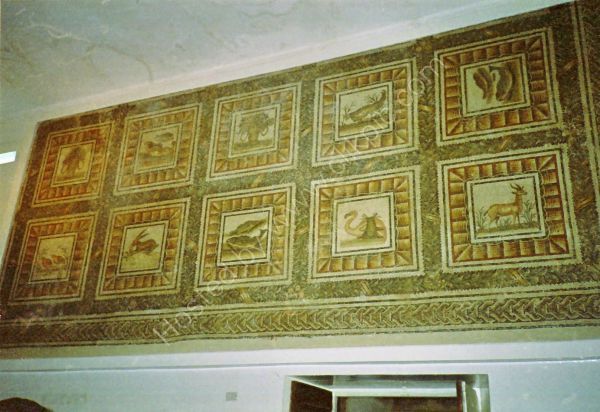 Roman Mosaic, Carthage